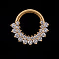 Halo — A double garland of light, hinged in gold