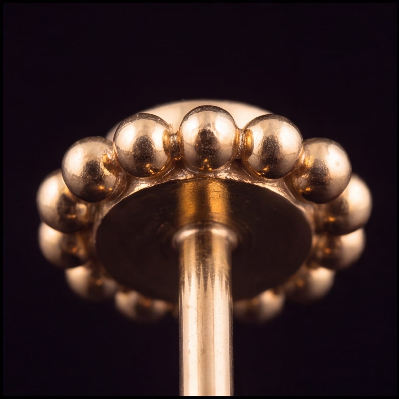 Anemone — beaded halo from behind